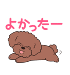 やさしいトイプー『デカ文字・敬語』2（個別スタンプ：12）