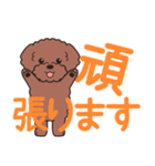 やさしいトイプー『デカ文字・敬語』2（個別スタンプ：23）