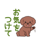 やさしいトイプー『デカ文字・敬語』2（個別スタンプ：30）