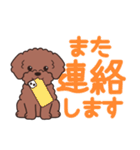 やさしいトイプー『デカ文字・敬語』2（個別スタンプ：31）