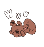 やさしいトイプー『デカ文字・敬語』2（個別スタンプ：34）