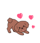 やさしいトイプー『デカ文字・敬語』2（個別スタンプ：37）