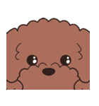 やさしいトイプー『デカ文字・敬語』2（個別スタンプ：40）