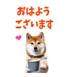 でか文字☆柴犬（個別スタンプ：1）