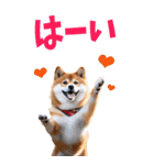 でか文字☆柴犬（個別スタンプ：4）