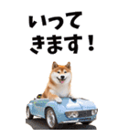 でか文字☆柴犬（個別スタンプ：9）