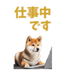 でか文字☆柴犬（個別スタンプ：13）