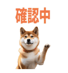 でか文字☆柴犬（個別スタンプ：15）