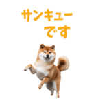 でか文字☆柴犬（個別スタンプ：18）