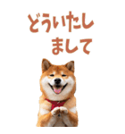 でか文字☆柴犬（個別スタンプ：28）