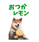 でか文字☆柴犬（個別スタンプ：33）