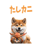 でか文字☆柴犬（個別スタンプ：35）