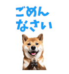 でか文字☆柴犬（個別スタンプ：38）