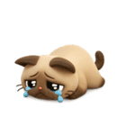 もっちりシャム猫3D（個別スタンプ：22）