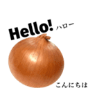 国産玉ねぎ【英語】（個別スタンプ：1）