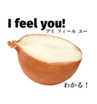 国産玉ねぎ【英語】（個別スタンプ：3）