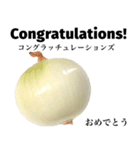 国産玉ねぎ【英語】（個別スタンプ：7）