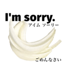 国産玉ねぎ【英語】（個別スタンプ：8）