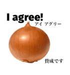 国産玉ねぎ【英語】（個別スタンプ：9）