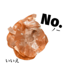 国産玉ねぎ【英語】（個別スタンプ：11）