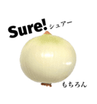 国産玉ねぎ【英語】（個別スタンプ：12）