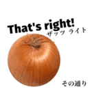 国産玉ねぎ【英語】（個別スタンプ：13）