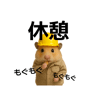 職人さんの連絡スタンプ8(ハムver.)（個別スタンプ：2）