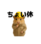 職人さんの連絡スタンプ8(ハムver.)（個別スタンプ：13）