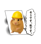 職人さんの連絡スタンプ8(ハムver.)（個別スタンプ：17）