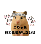 職人さんの連絡スタンプ8(ハムver.)（個別スタンプ：25）