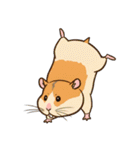 シュールでかわいいハムスターのスタンプ（個別スタンプ：7）