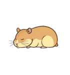 シュールでかわいいハムスターのスタンプ（個別スタンプ：8）