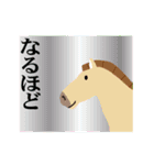 馬の話を聞いてくれ！正月パート8（個別スタンプ：26）