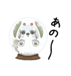 B＆Wの動くシーズー犬 2025 「雪うさぎ」（個別スタンプ：6）