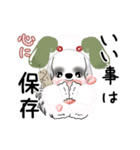 B＆Wの動くシーズー犬 2025 「雪うさぎ」（個別スタンプ：9）