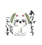 B＆Wの動くシーズー犬 2025 「雪うさぎ」（個別スタンプ：11）