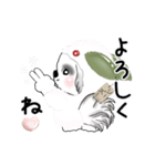 B＆Wの動くシーズー犬 2025 「雪うさぎ」（個別スタンプ：15）