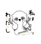 B＆Wの動くシーズー犬 2025 「雪うさぎ」（個別スタンプ：24）