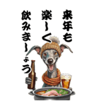 可愛いイタグレBIG年末年始（個別スタンプ：3）