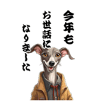 可愛いイタグレBIG年末年始（個別スタンプ：4）