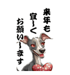 可愛いイタグレBIG年末年始（個別スタンプ：13）