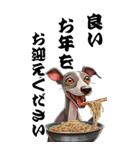 可愛いイタグレBIG年末年始（個別スタンプ：15）