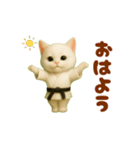 押忍！空手猫が動きます（個別スタンプ：1）