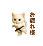 押忍！空手猫が動きます（個別スタンプ：4）