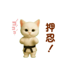 押忍！空手猫が動きます（個別スタンプ：11）