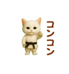 押忍！空手猫が動きます（個別スタンプ：19）