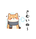 【冬に使える】もちふわ柴犬3！（個別スタンプ：6）