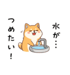 【冬に使える】もちふわ柴犬3！（個別スタンプ：9）