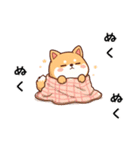 【冬に使える】もちふわ柴犬3！（個別スタンプ：10）
