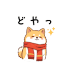【冬に使える】もちふわ柴犬3！（個別スタンプ：11）